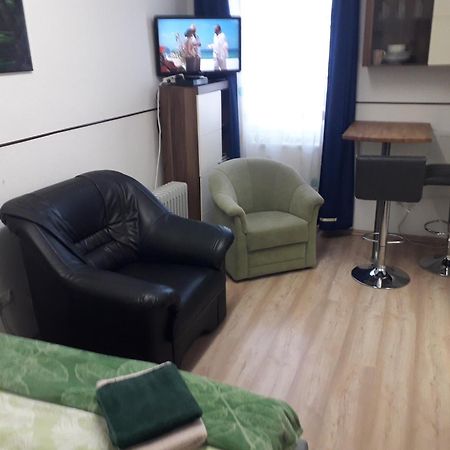 Apartment Ap 1 Im Zentrum Steyr, Bestrooms Eu Екстер'єр фото