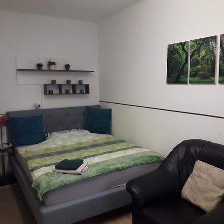 Apartment Ap 1 Im Zentrum Steyr, Bestrooms Eu Екстер'єр фото