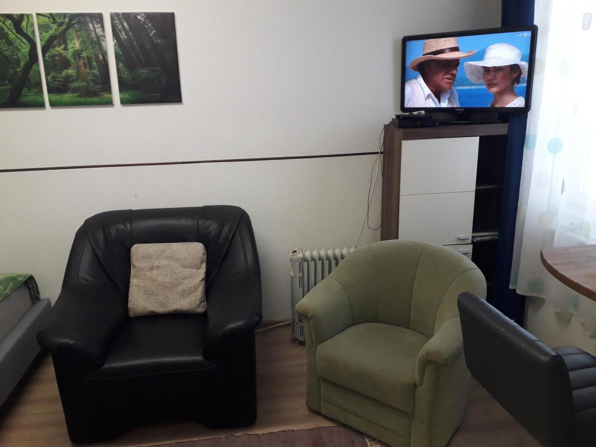 Apartment Ap 1 Im Zentrum Steyr, Bestrooms Eu Екстер'єр фото