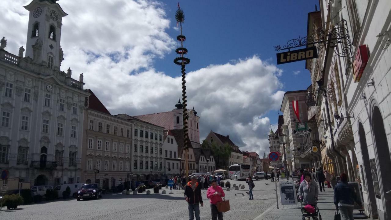 Apartment Ap 1 Im Zentrum Steyr, Bestrooms Eu Екстер'єр фото